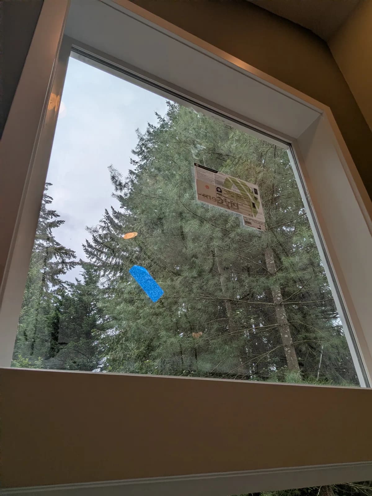 New-construction picture window still wearing stickers and painter's tape, ready for detail cleaning — our work