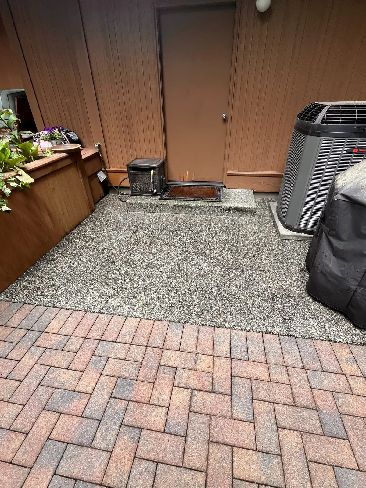After — Brick paver walkway and aggregate entry choked with moss, restored to original color