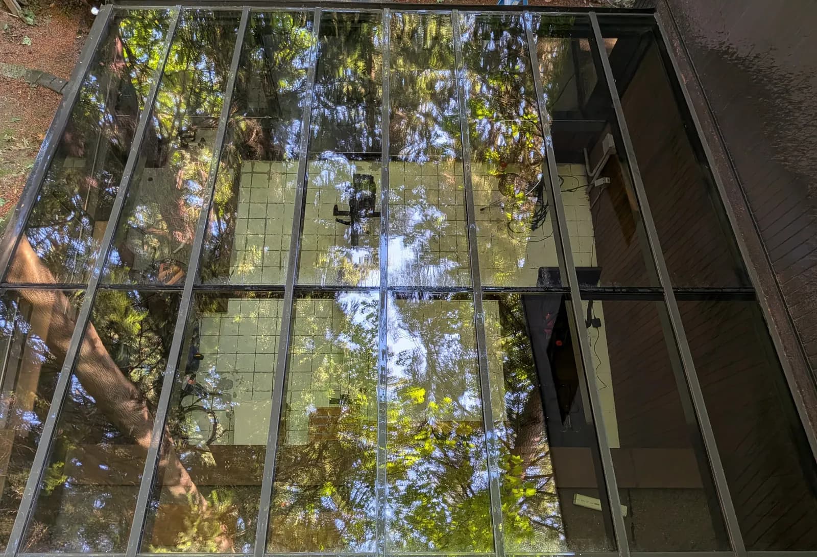 After — Glass roof panes milky with pollen film, crystal-clear after cleaning