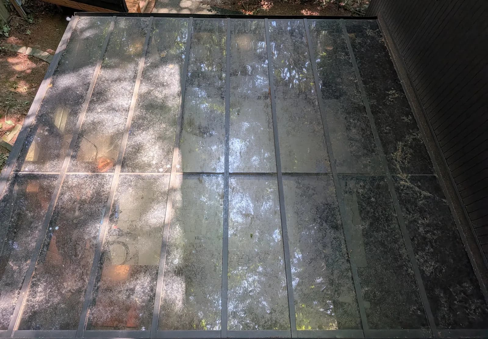 Before — Glass roof panes milky with pollen film, crystal-clear after cleaning
