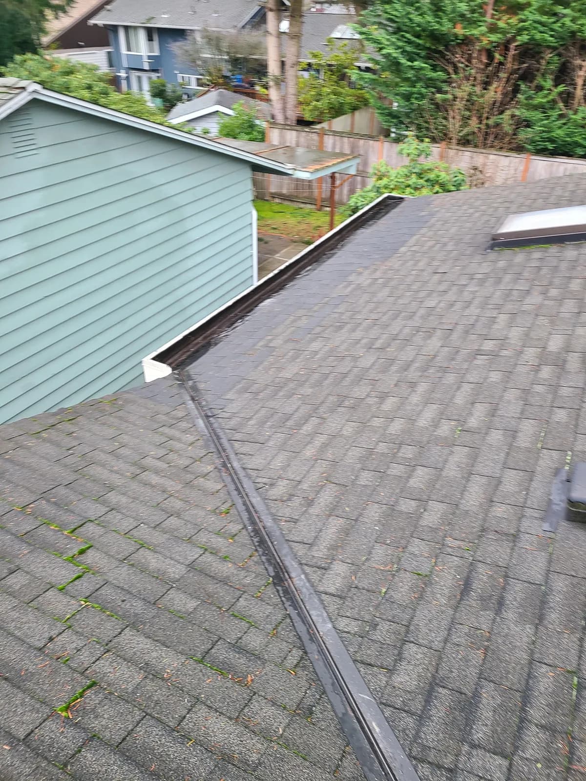 After — Gutter so neglected that ferns were growing from it, cleared back to a clean open channel