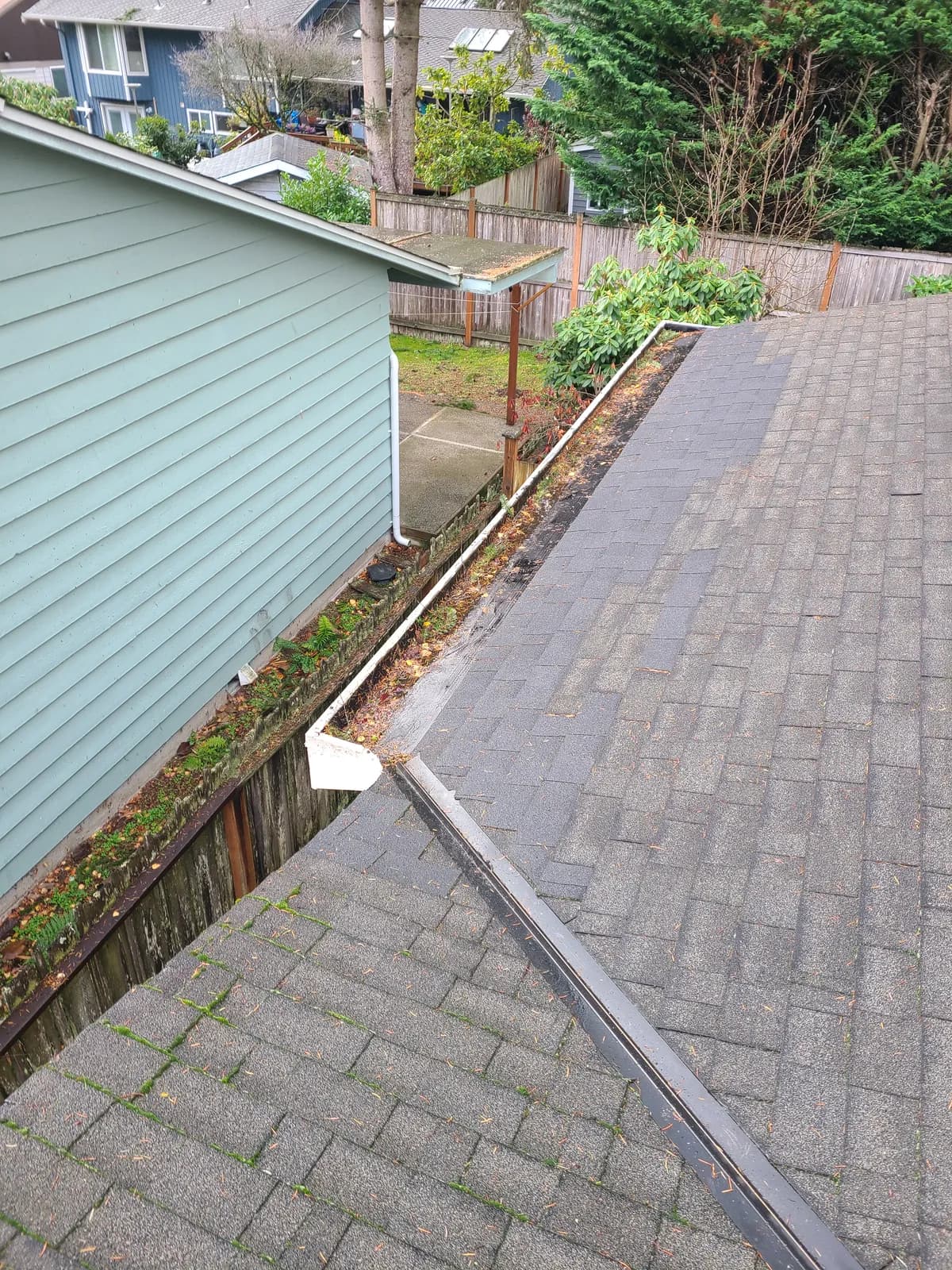 Before — Gutter so neglected that ferns were growing from it, cleared back to a clean open channel