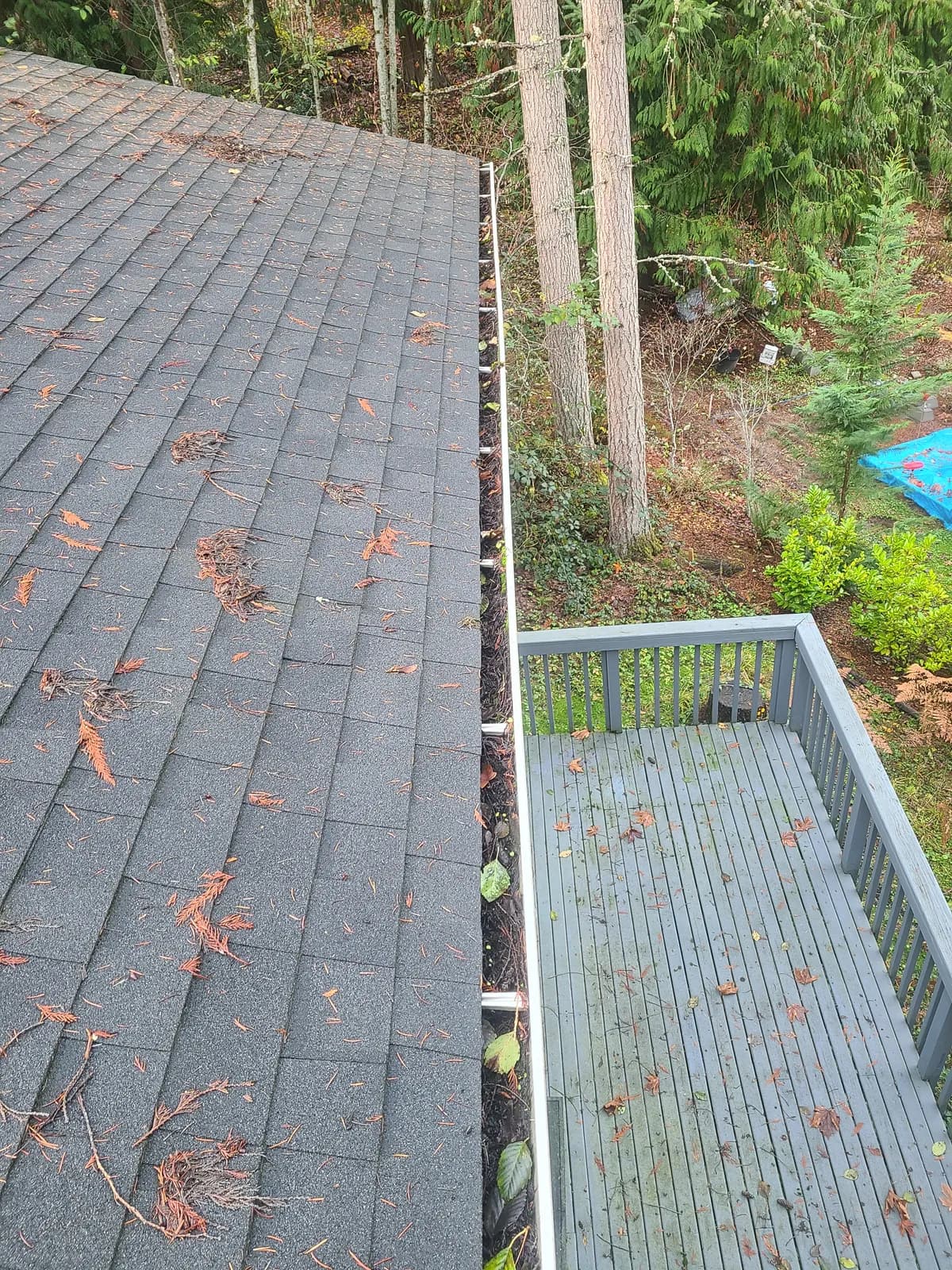 Before — Gutter packed solid with pine needles beside a wood deck, restored to a clean empty channel