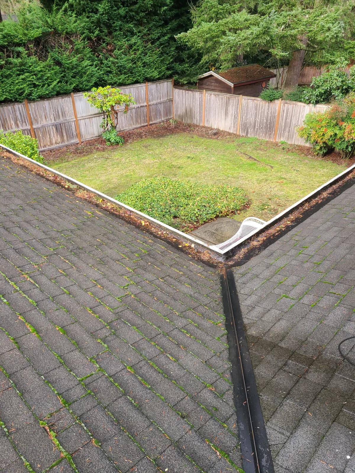 Before — Leaf-clogged backyard gutter corner cleared to a clean channel