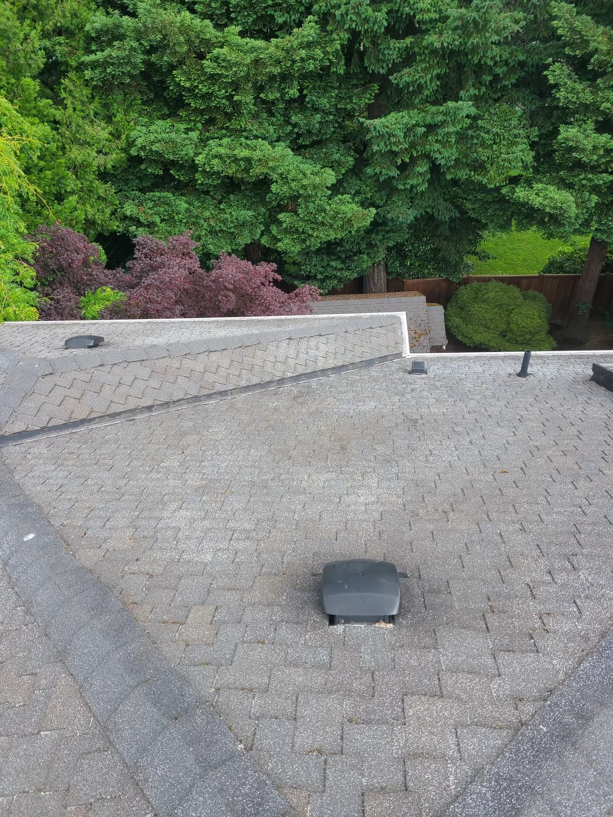 After — Roof buried under thick yellow-green moss clumps, stripped back to clean bare shingles
