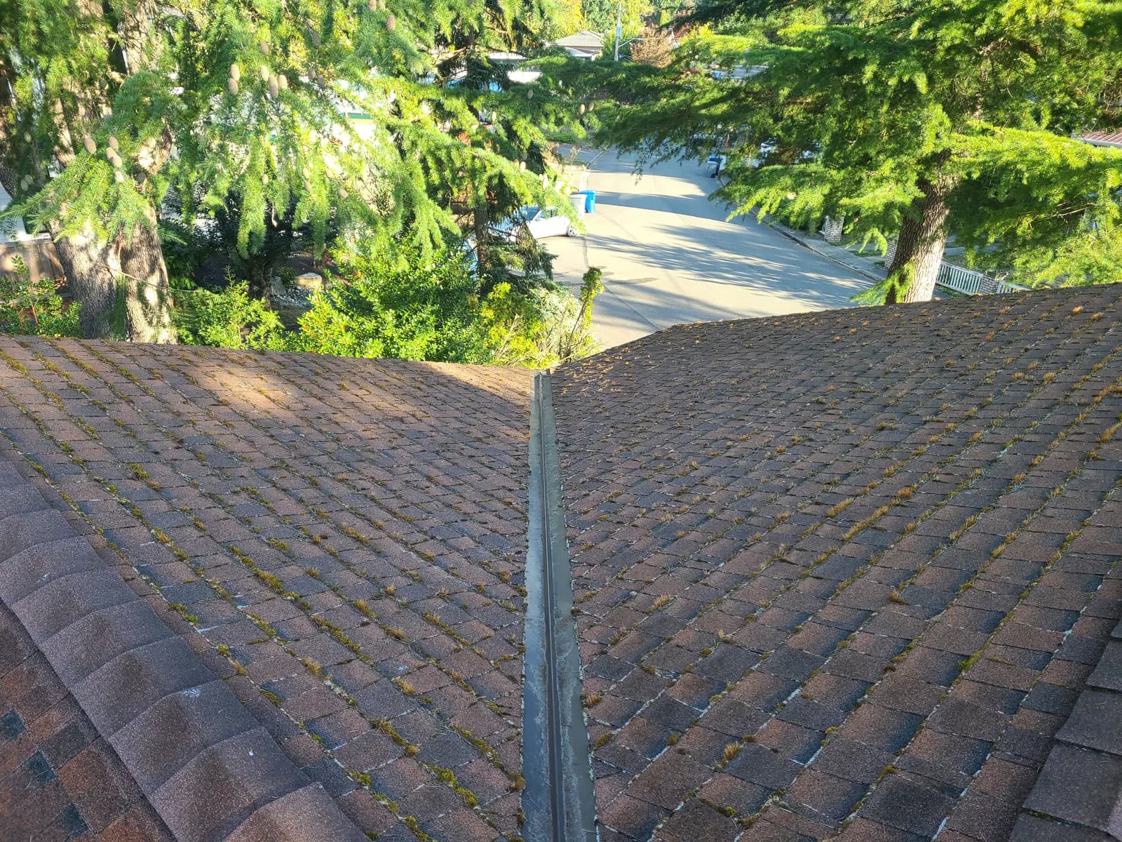Before — Brown shingle roof ridge speckled with moss tufts, uniform after cleaning