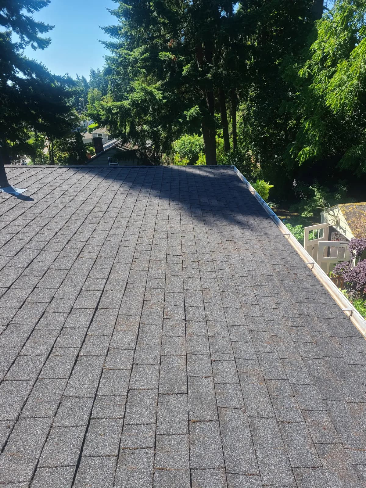 After — Moss lines growing in every shingle seam, removed to reveal a uniform clean roof