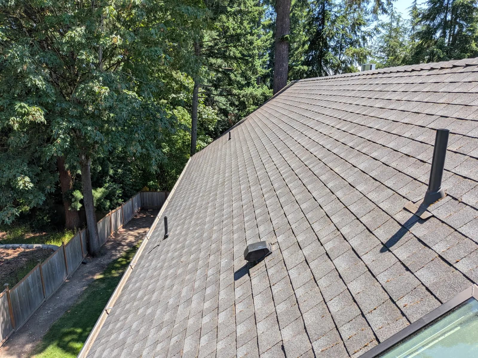 After — Rooftop view of shingles with moss growing in every seam, completely clean after service