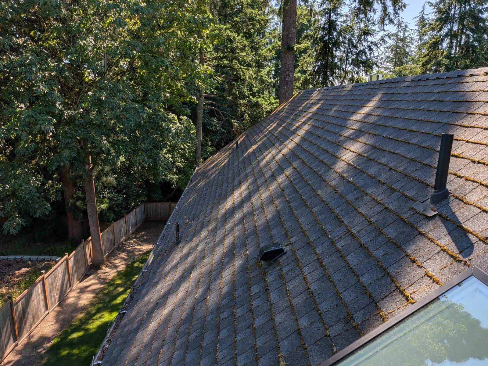 Before — Rooftop view of shingles with moss growing in every seam, completely clean after service