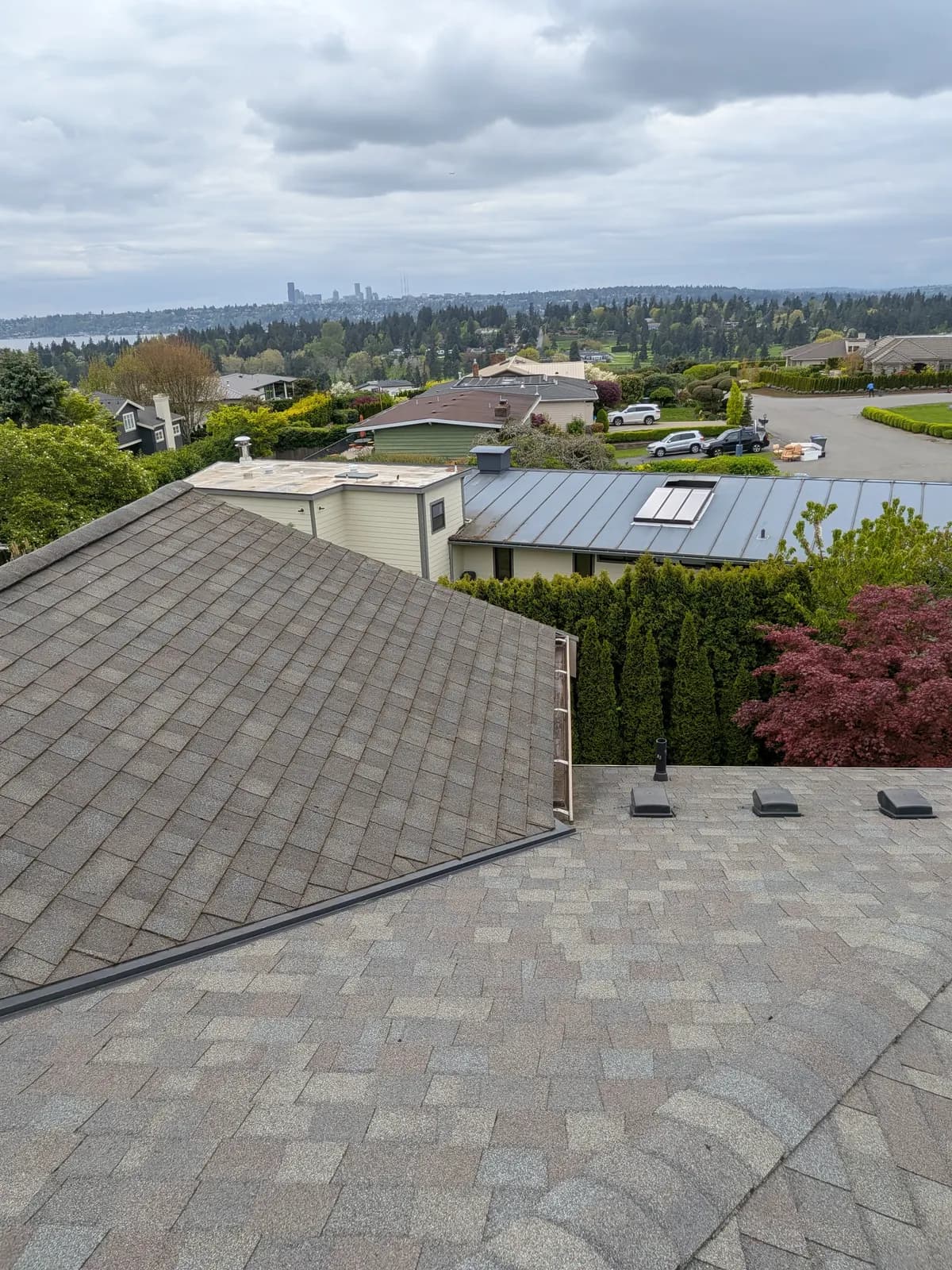 After — Moss-striped shingle roof with the city skyline behind, before and after moss removal