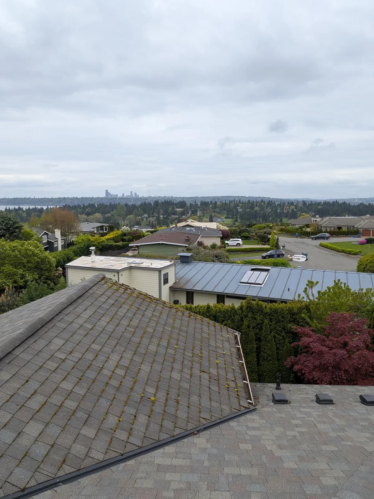 Before — Moss-striped shingle roof with the city skyline behind, before and after moss removal