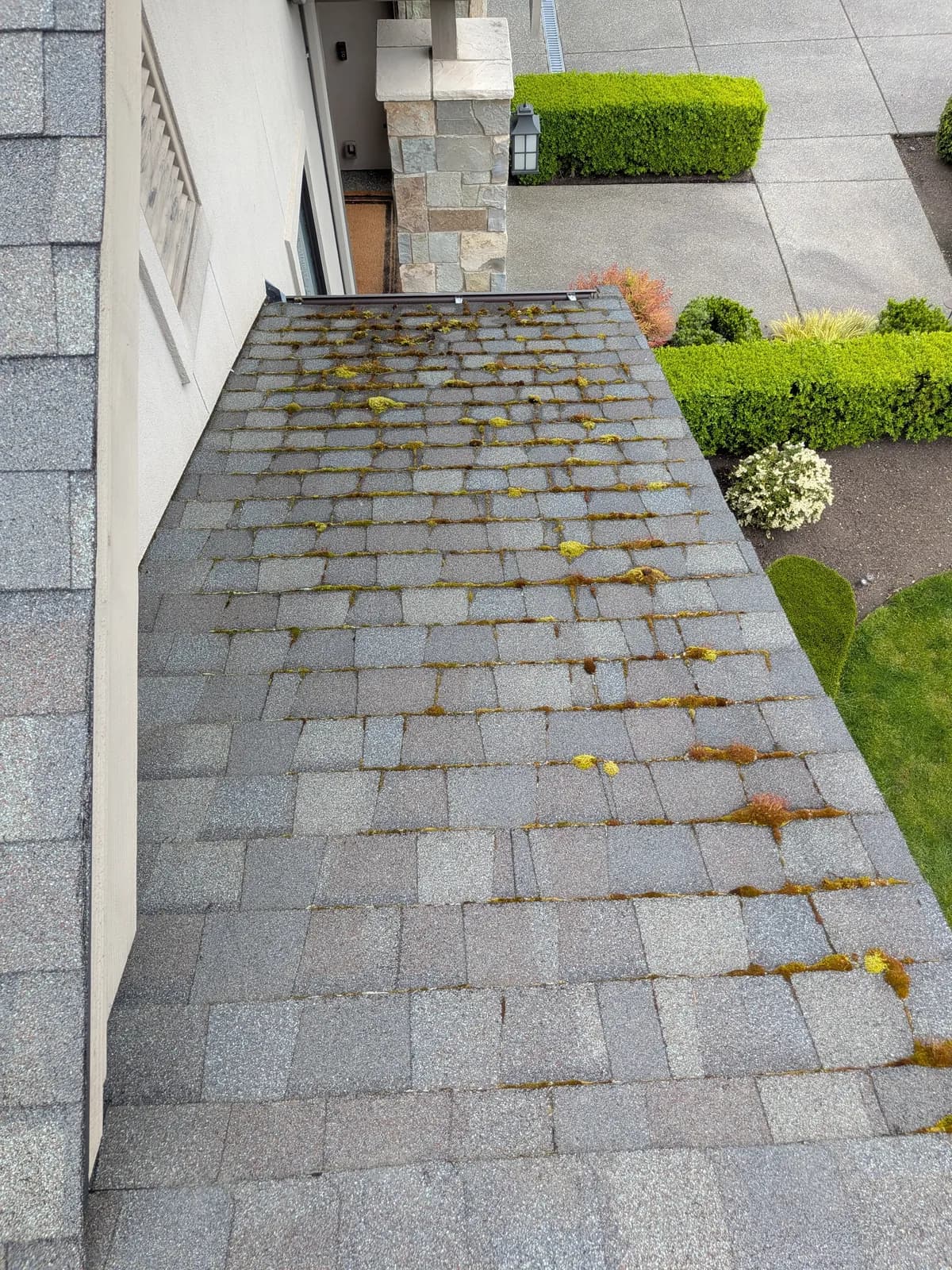 Before — Moss-filled shingle grooves beside a stone chimney, cleared to a spotless roof plane