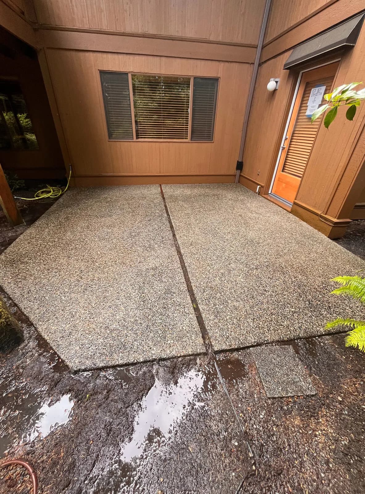 After — Aggregate patio buried under moss and algae staining, washed back to clean stone