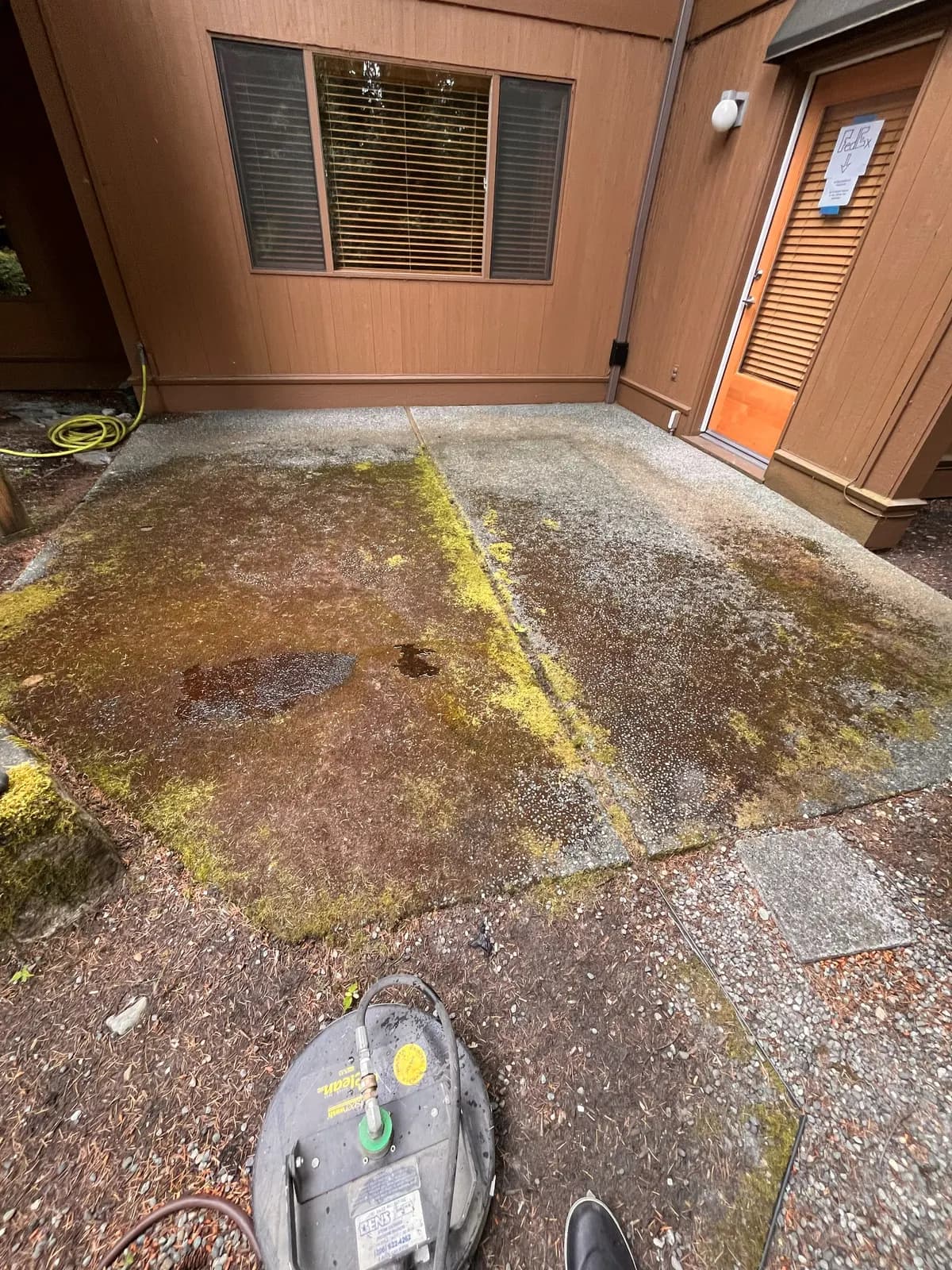 Before — Aggregate patio buried under moss and algae staining, washed back to clean stone