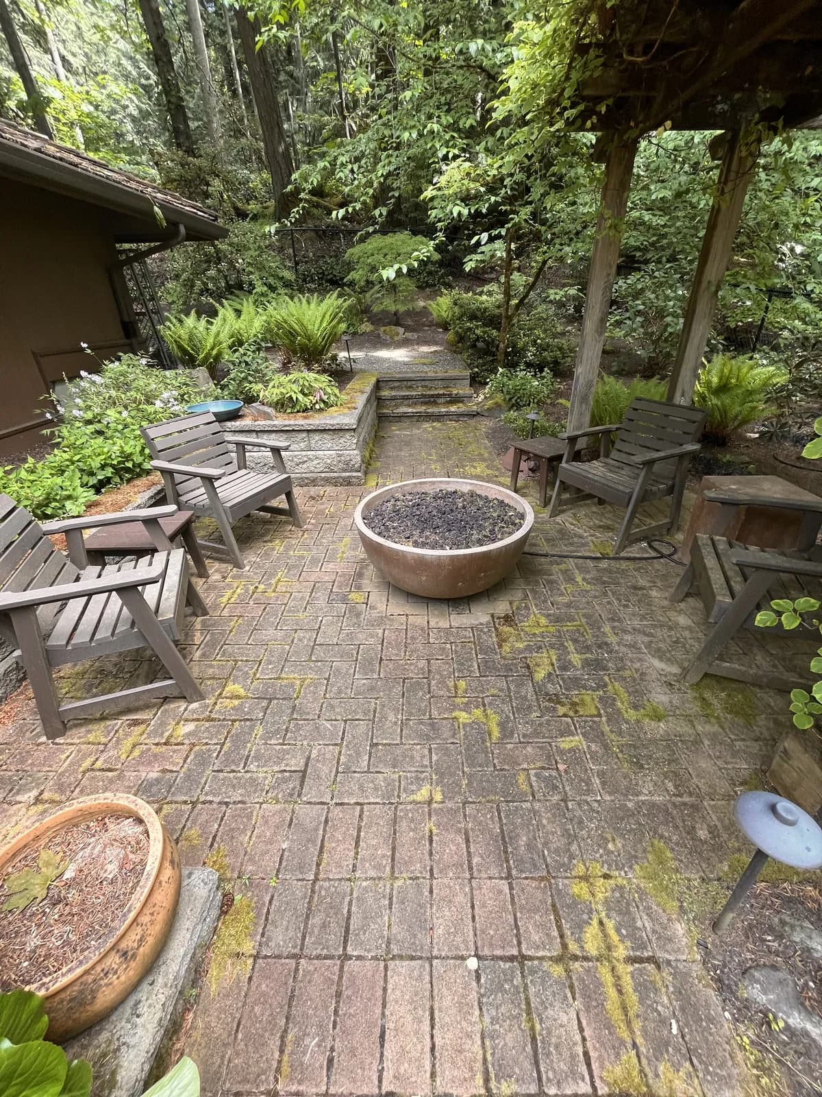 Before — Mossy herringbone brick patio around a fire pit, washed back to clean pavers