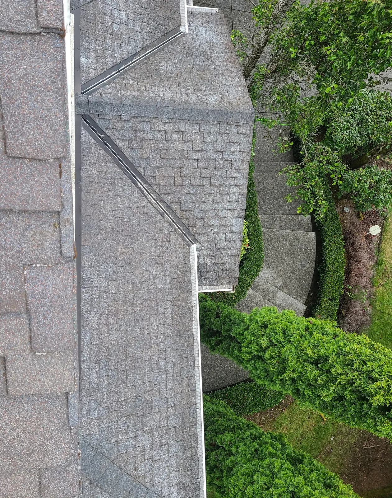 Freshly cleaned roof over a tidy back yard