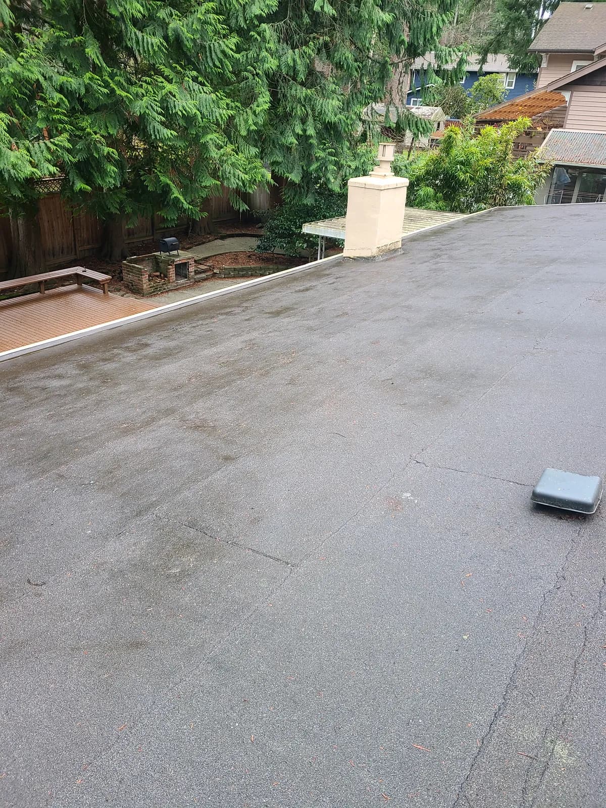 After — Low-slope roof blanketed in pine needles, fully cleared the same visit