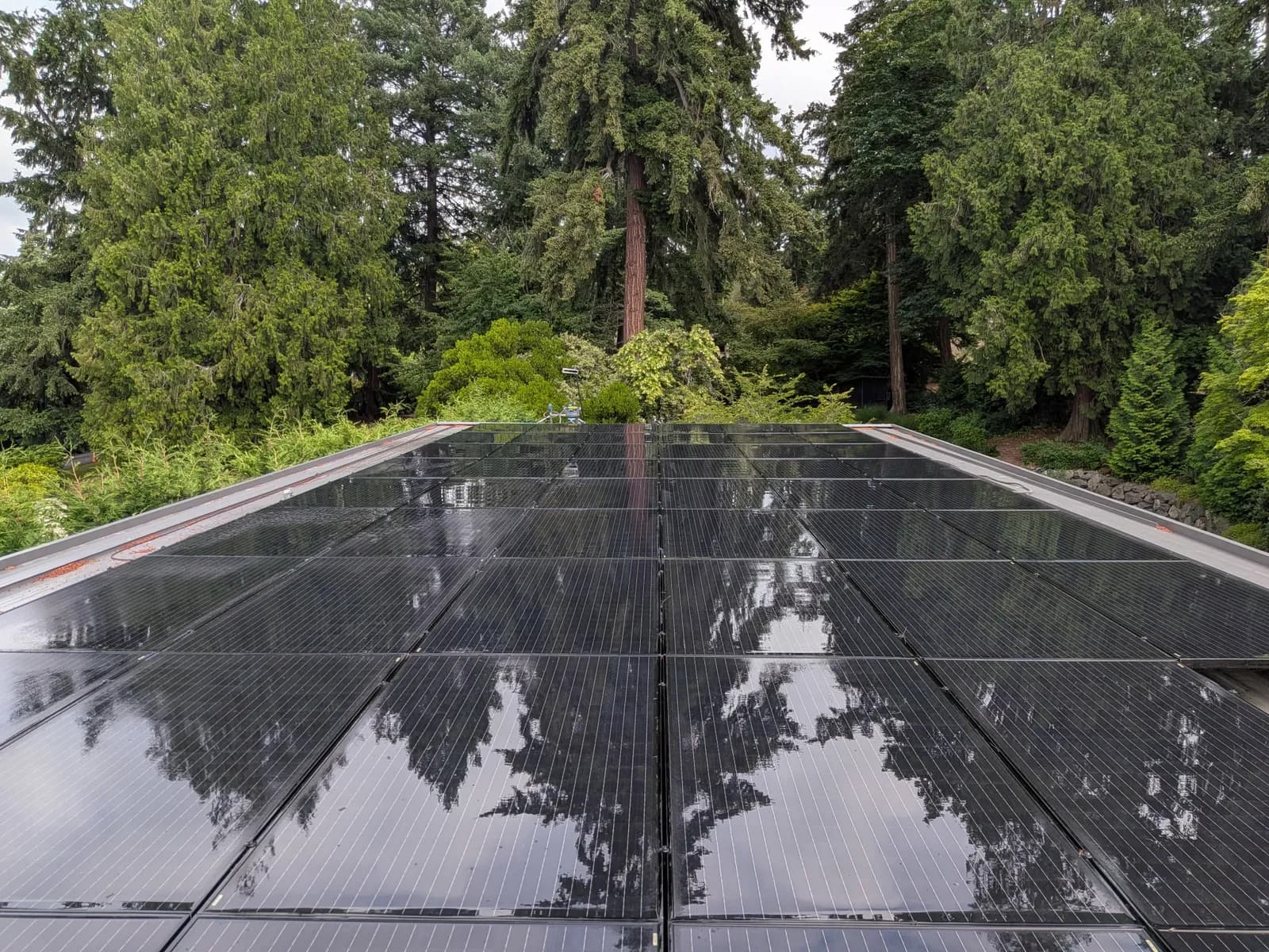 After — Dust-filmed rooftop solar array cleaned to a mirror finish reflecting the surrounding evergreens