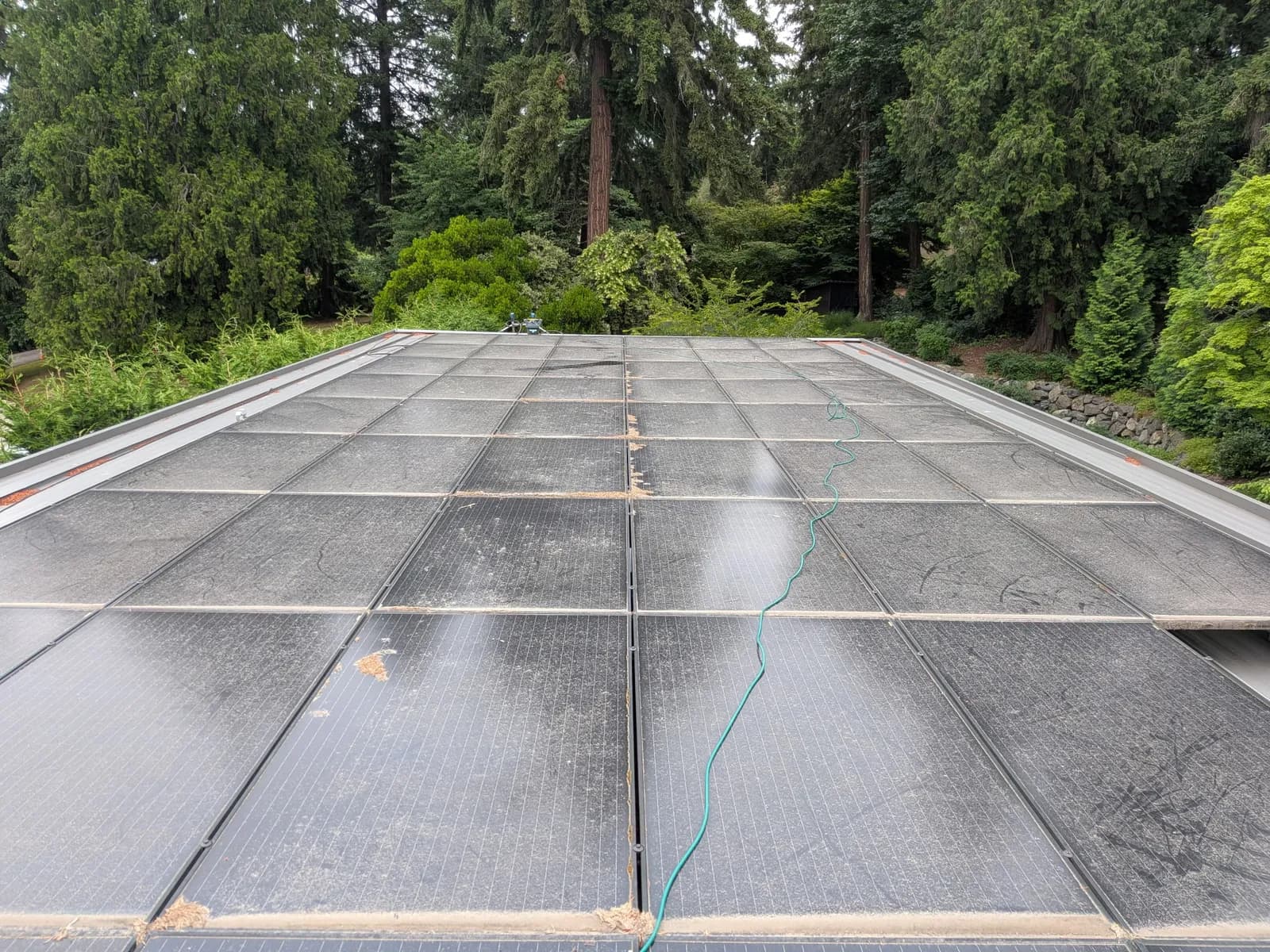 Before — Dust-filmed rooftop solar array cleaned to a mirror finish reflecting the surrounding evergreens