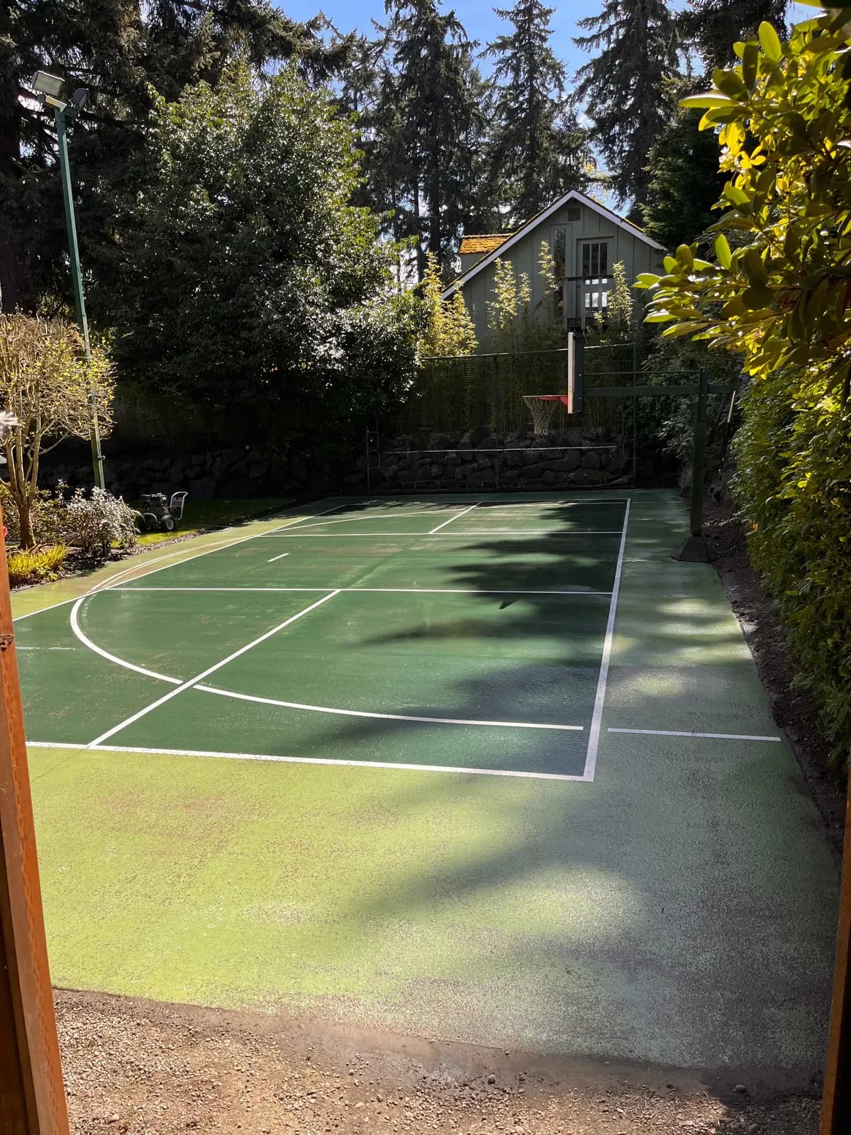 Backyard sport court soft washed back to a deep green with crisp white lines