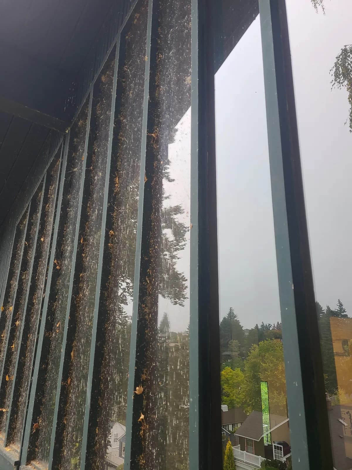 Window panes half cleaned — cobwebs and grime on one side, crystal-clear glass on the other
